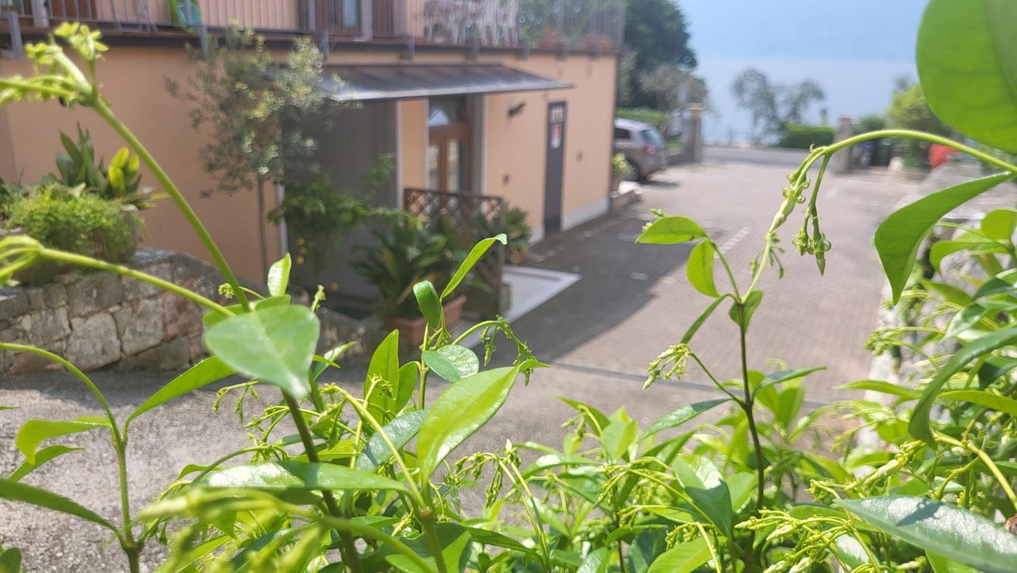 Residence Villa Margherita Brenzone sul Garda Exterior foto