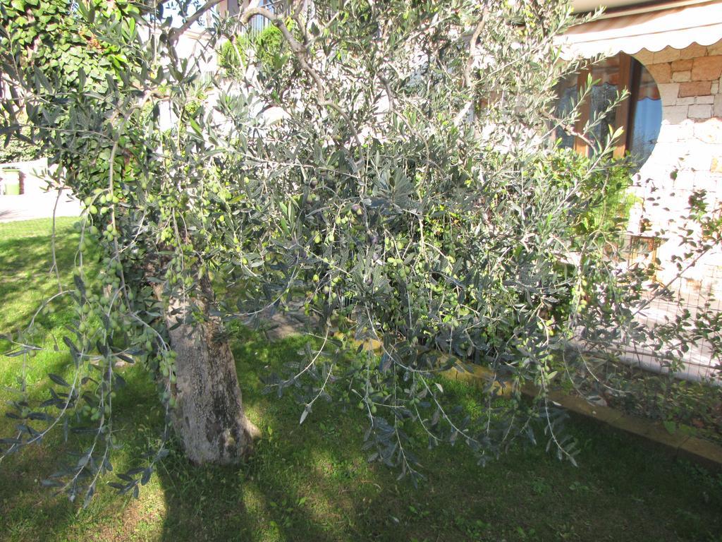 Residence Villa Margherita Brenzone sul Garda Exterior foto